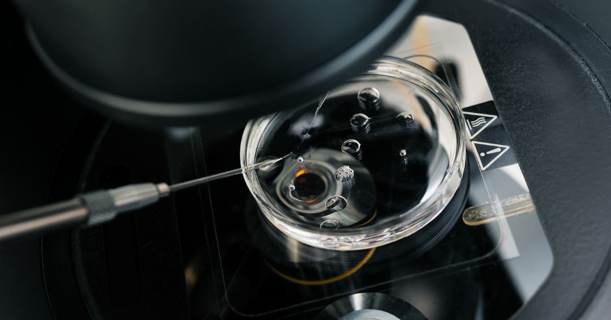 ขั้นตอนการทำ ก่อนและหลังทำเด็กหลอดแก้ว (IVF - In Vitro Fertilization)