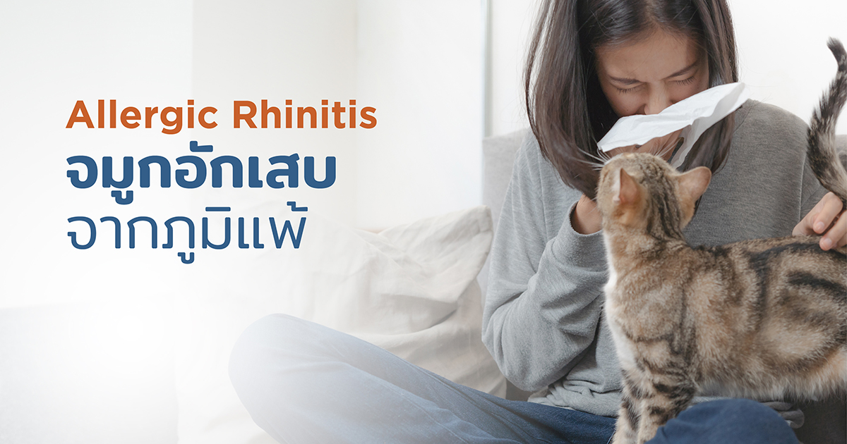จมูกอักเสบจากภูมิแพ้ เกิดจากอะไร ต้องรักษาและป้องกันอย่างไร - Allergic Rhinitis: What Is IT, Treatment and Prevention
