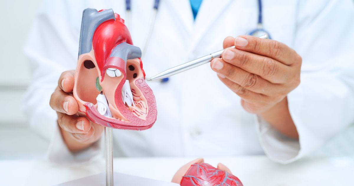 ผ่าตัดซ่อมลิ้นหัวใจไมตรัล (Mitral valve repair) ขั้นตอน ข้อดี