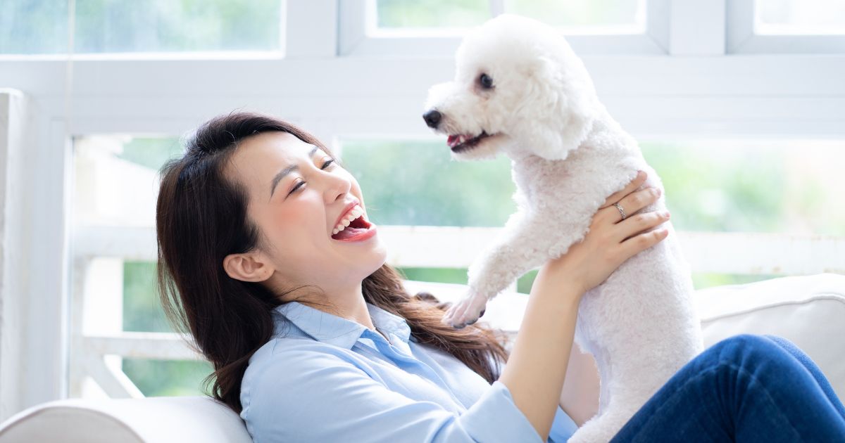 โรคพิษสุนัขบ้า - Rabies อาการ พาหะของโรค วัคซีนป้องกันโรคพิษสุนัขบ้า
